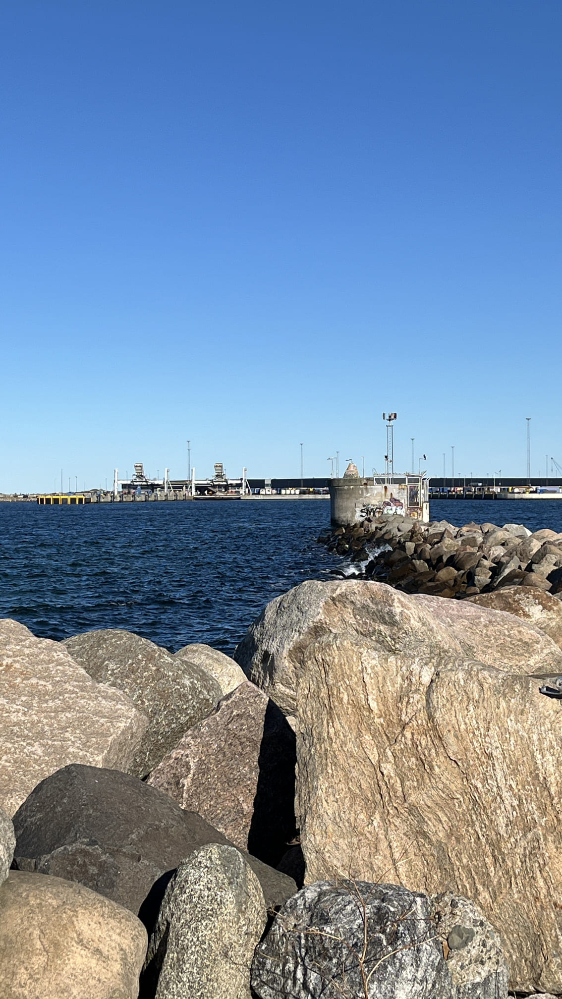 奇特的指標點 MA7-Fyr