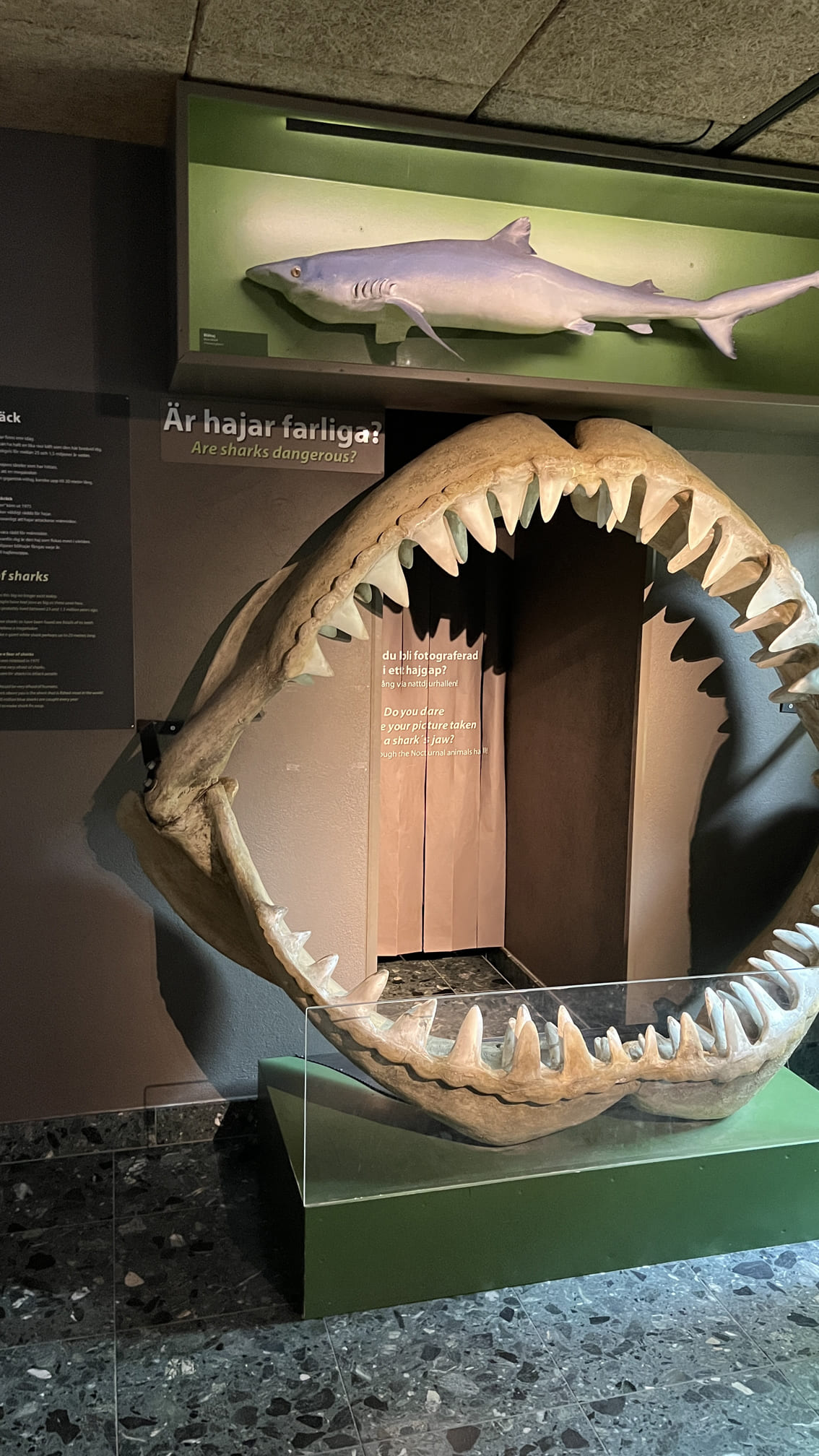 馬爾默胡斯城堡生物展間