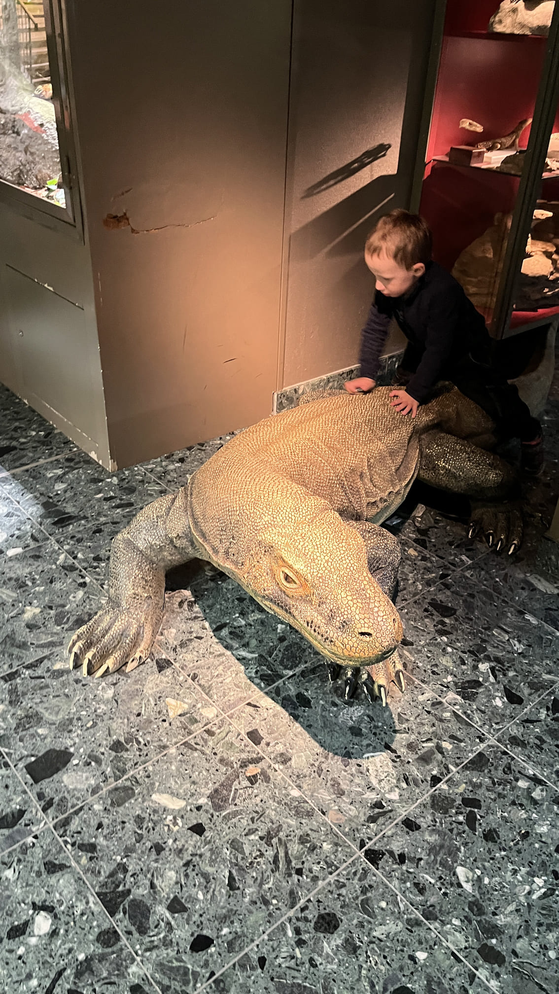 馬爾默胡斯城堡生物展間