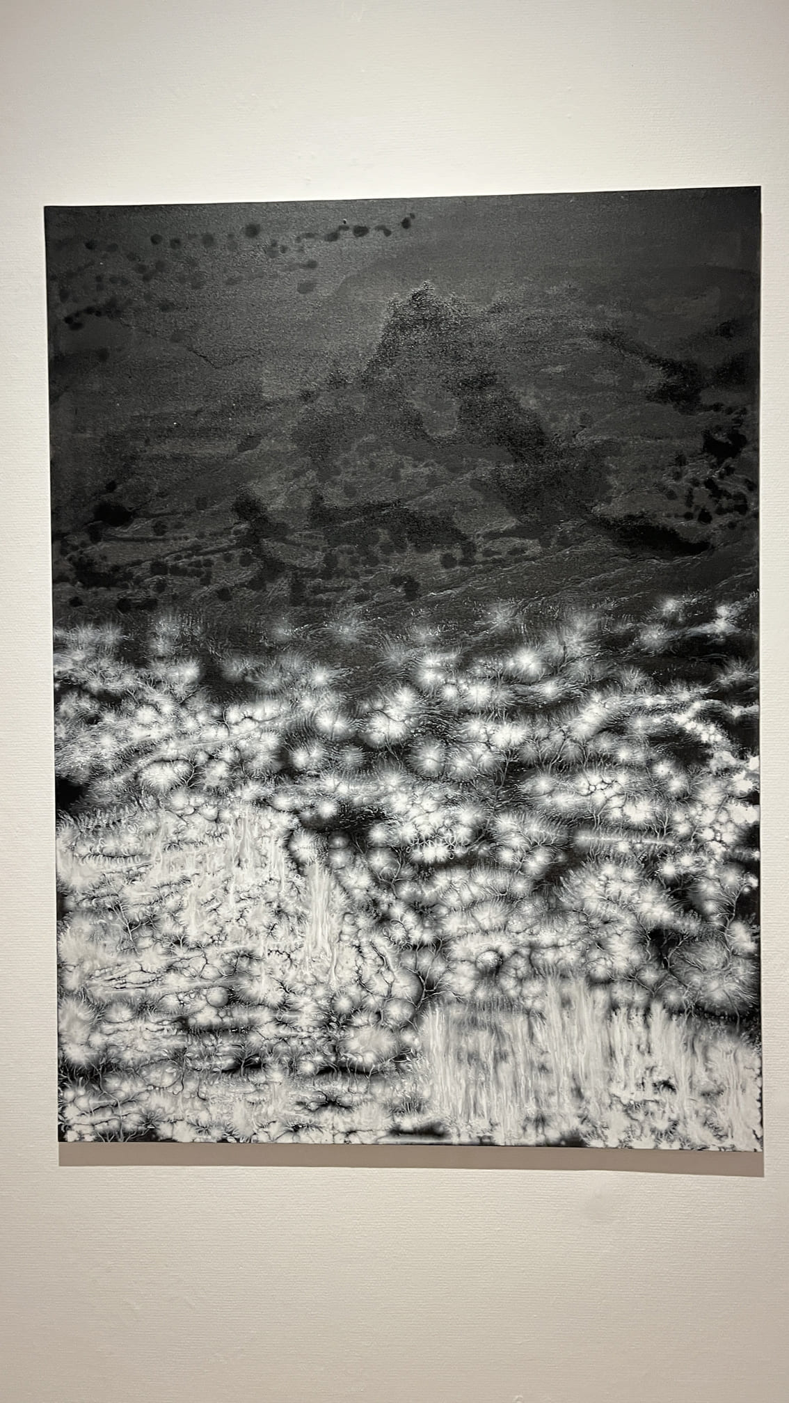 馬爾默胡斯城堡藝術展間